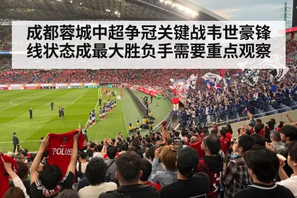 football stadium fans